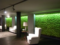 yosun duvar tasarım ve uygulama